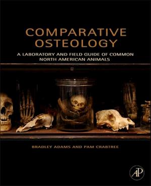 Comparative Osteology