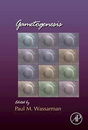 Gametogenesis