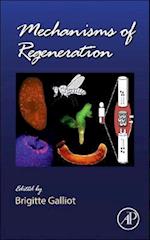 Mechanisms of Regeneration