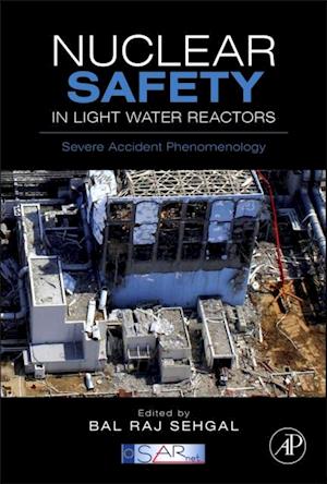 Nuclear Safety in Light Water Reactors