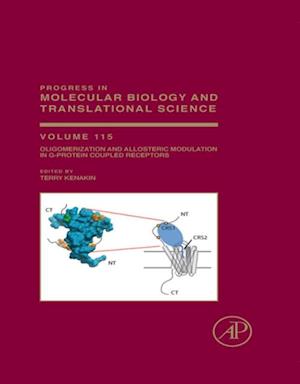 Oligomerization and Allosteric Modulation in G-Protein Coupled Receptors