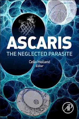 Ascaris