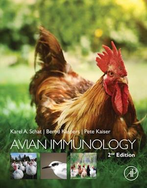 Avian Immunology