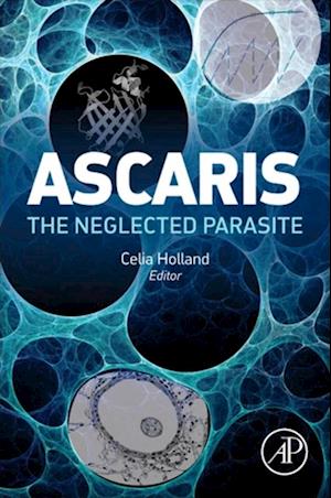 Ascaris