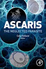 Ascaris