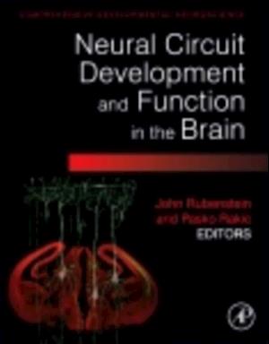 Neural Circuit Development and Function in the Healthy and Diseased Brain