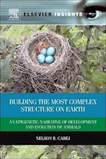 Building the Most Complex Structure on Earth