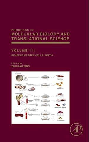 Genetics of Stem Cells