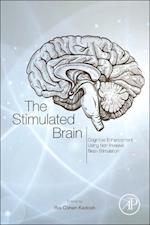 The Stimulated Brain