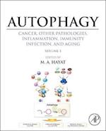 Autophagy: Cancer, Other Pathologies, Inflammation, Immunity, Infection, and Aging