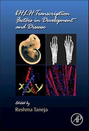 bHLH Transcription Factors in Development and Disease