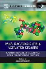 PAKs, RAC/CDC42 (p21)-activated Kinases