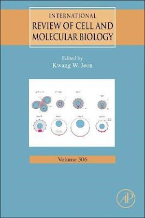 International Review of Cell and Molecular Biology