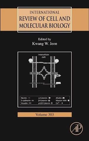 International Review of Cell and Molecular Biology