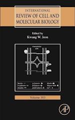 International Review of Cell and Molecular Biology