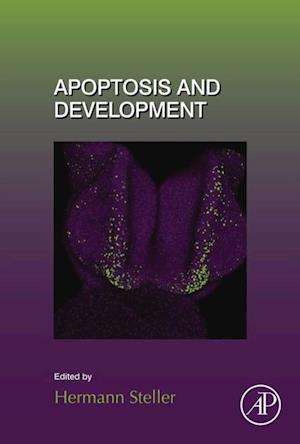 Apoptosis and Development