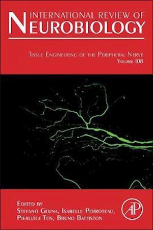 Tissue Engineering of the Peripheral Nerve