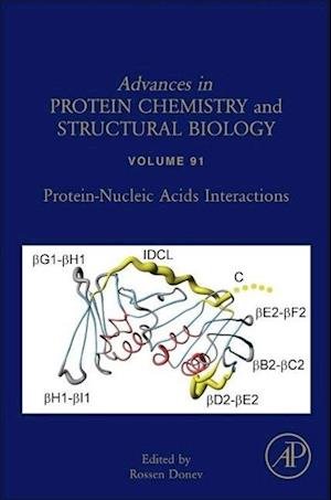 Protein-Nucleic Acids Interactions