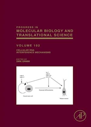 Cellular RNA Interference Mechanisms