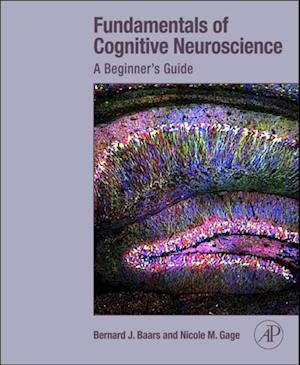 Fundamentals of Cognitive Neuroscience