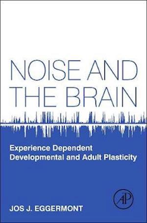 Noise and the Brain