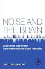 Noise and the Brain