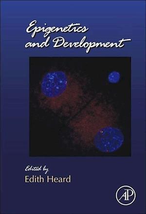 Epigenetics and Development