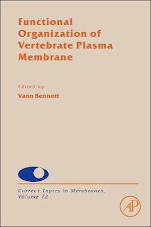 Functional Organization of Vertebrate Plasma Membrane