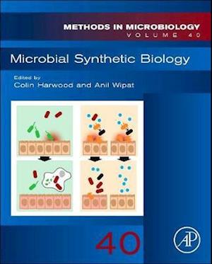 Microbial Synthetic Biology