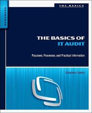 The Basics of IT Audit