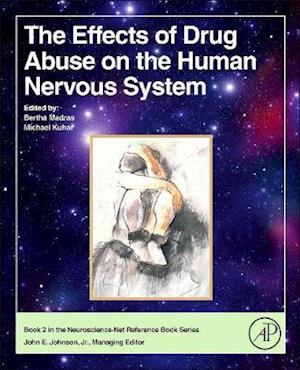 The Effects of Drug Abuse on the Human Nervous System