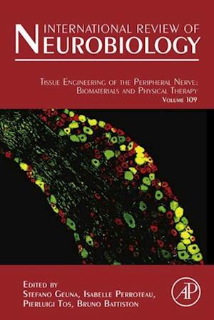 Tissue Engineering of the Peripheral Nerve: Biomaterials and Physical Therapy