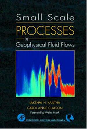 Small Scale Processes in Geophysical Fluid Flows