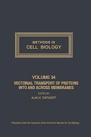 Vectorial Transport of Proteins into and across Membranes