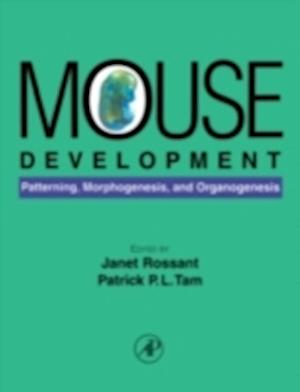 Mouse Development