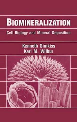 Biomineralization