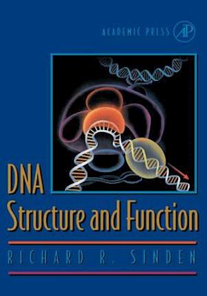 DNA Structure and Function