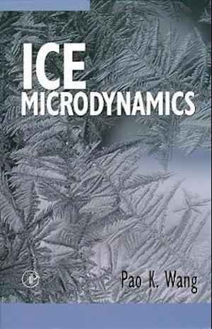 Ice Microdynamics
