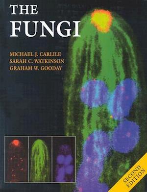 The Fungi