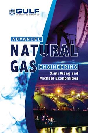 Advanced Natural Gas Engineering