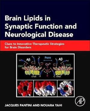 Brain Lipids in Synaptic Function and Neurological Disease