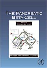 The Pancreatic Beta Cell