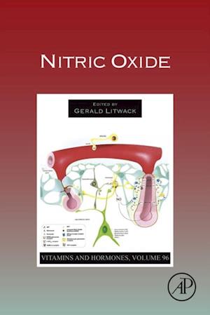 Nitric Oxide