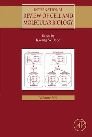 International Review of Cell and Molecular Biology