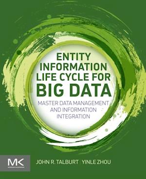 Entity Information Life Cycle for Big Data