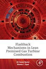 Flashback Mechanisms in Lean Premixed Gas Turbine Combustion