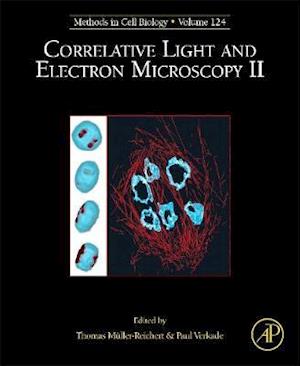 Correlative Light and Electron Microscopy II