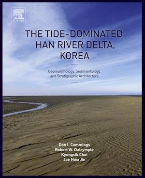 Tide-Dominated Han River Delta, Korea