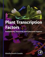 Plant Transcription Factors