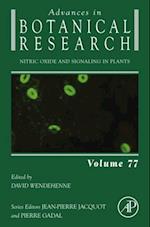 Nitric Oxide and Signaling in Plants
